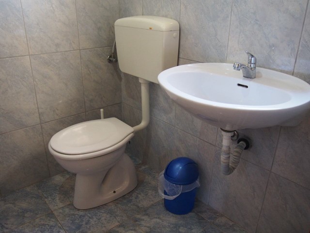 Bathroom with wc