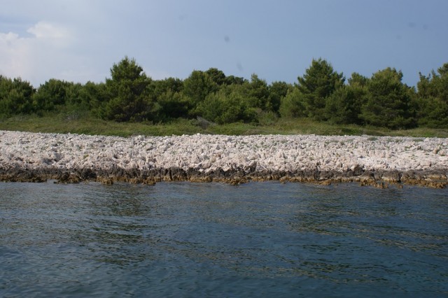 Island Žižanj