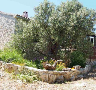 Outside Robinson Žižanj