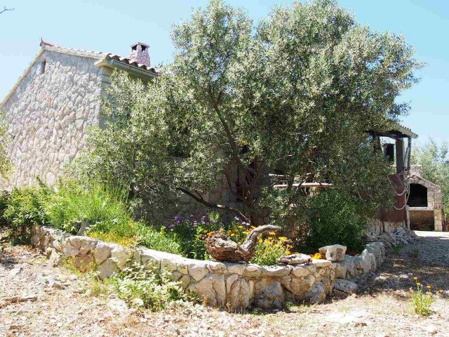 Outside Robinson Žižanj