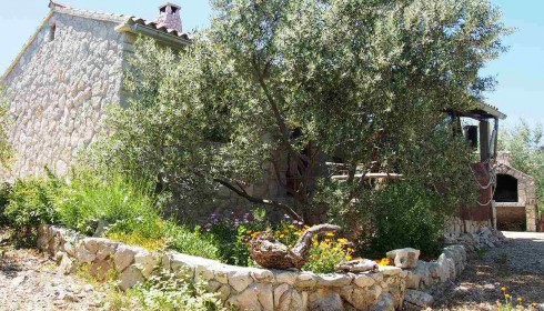 Outside Robinson Žižanj