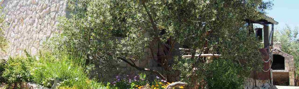 Outside Robinson Žižanj